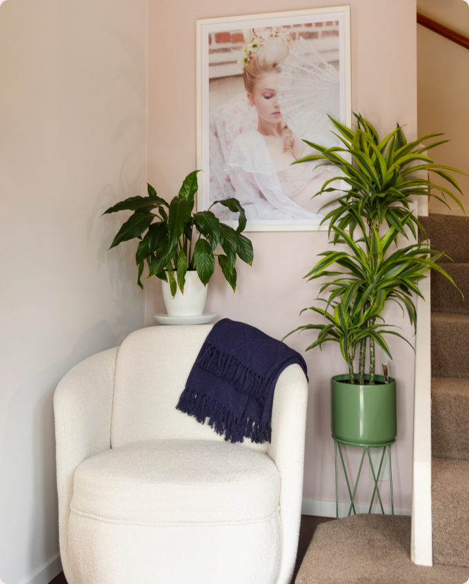 A softly lit entrance nook with a cream armchair, a navy throw and leafy potted plants.